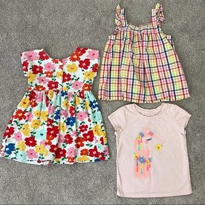 Hanna Andersson summer bundle (size 100)